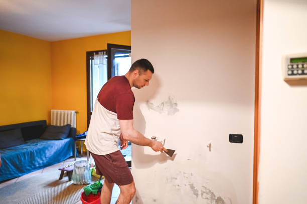 Best Attic Mold Remediation in Port Hadlock Irondale, WA